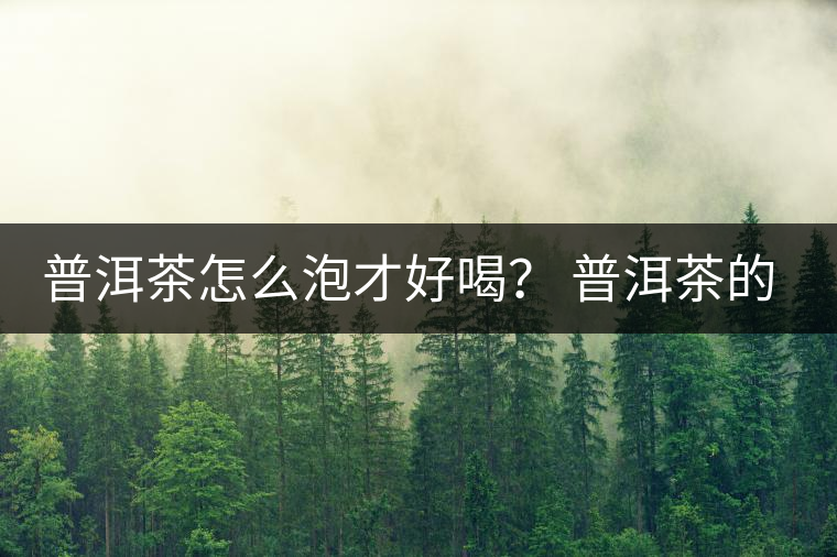普洱茶怎么泡才好喝？ 普洱茶的沖泡技巧！
