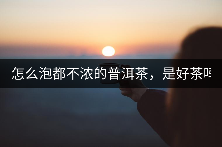 怎么泡都不濃的普洱茶，是好茶嗎？