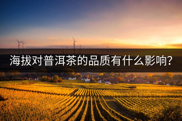 海拔對普洱茶的品質(zhì)有什么影響？
