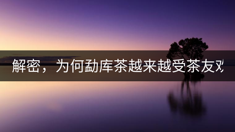 解密，為何勐庫(kù)茶越來越受茶友歡迎！