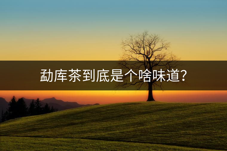 勐庫茶到底是個啥味道？