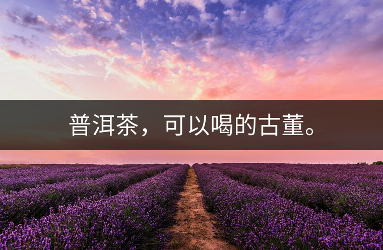 普洱茶，可以喝的古董。