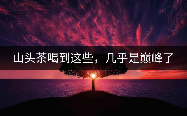 山頭茶喝到這些，幾乎是巔峰了