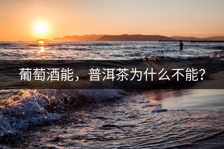 葡萄酒能，普洱茶為什么不能？