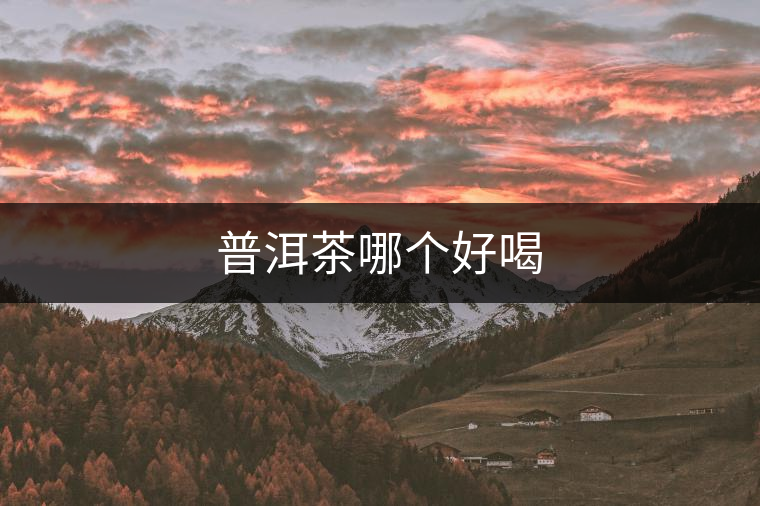 普洱茶哪個(gè)好喝