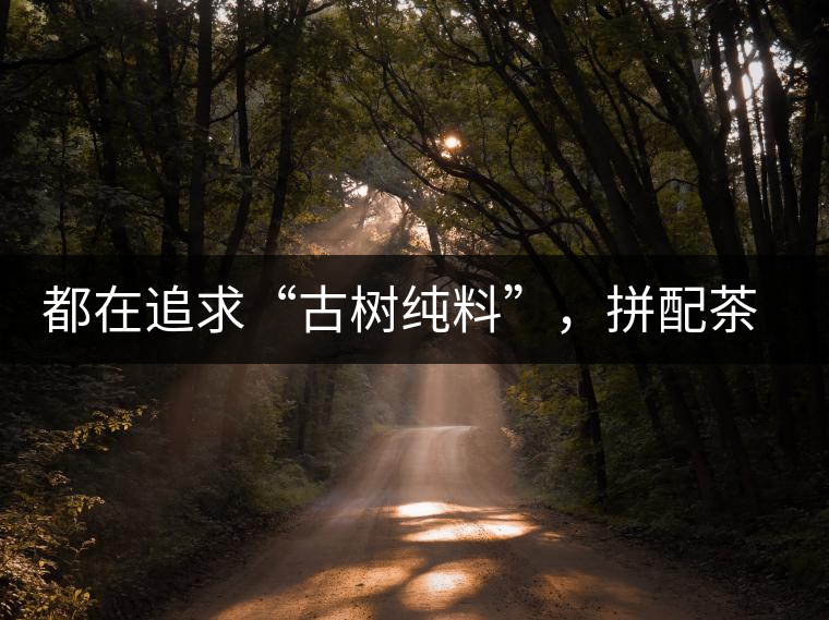都在追求“古樹(shù)純料”，拼配茶真的不如純料的？
