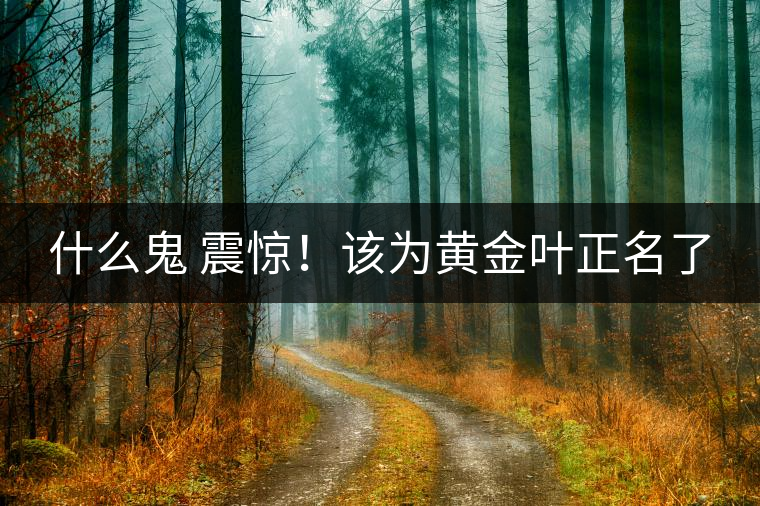 什么鬼 震驚！該為黃金葉正名了