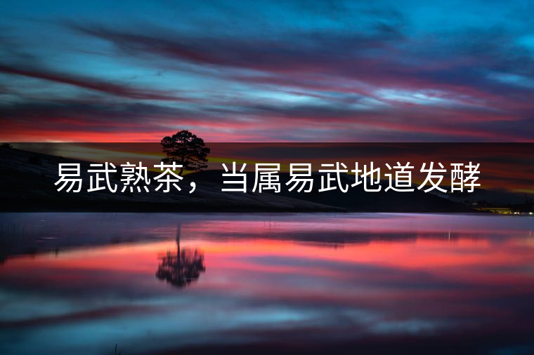 易武熟茶，當屬易武地道發(fā)酵