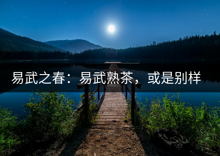 易武之春：易武熟茶，或是別樣風采丨賞鑒