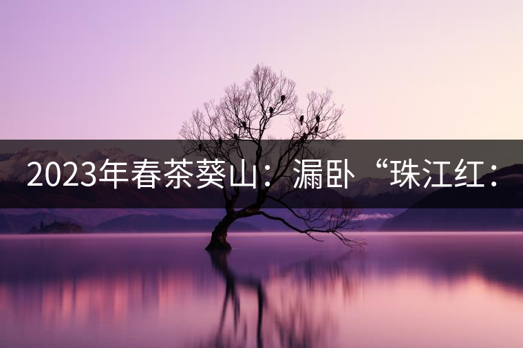 2023年春茶葵山：漏臥“珠江紅：1200元-3200元（有3個(gè)檔次）漏臥“大廠茶”：古樹單株8600-9000元／公斤，中樹4800-5200元／公斤，小樹混采2600-2800元／公斤。