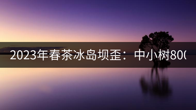 2023年春茶冰島壩歪：中小樹800元／公斤，古樹1400-1600元／公斤
