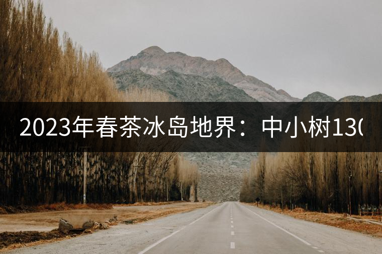 2023年春茶冰島地界：中小樹1300-1500元／公斤，古樹2200~2500元／公斤