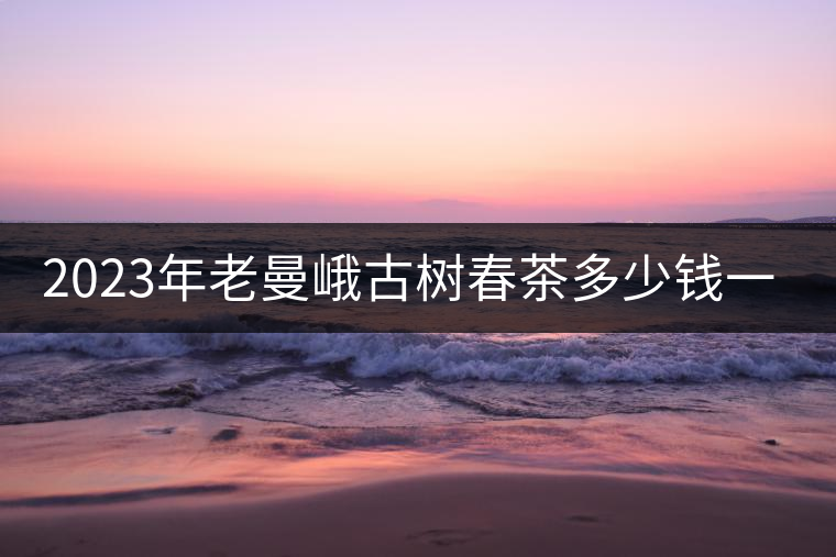2023年老曼峨古樹春茶多少錢一公斤？