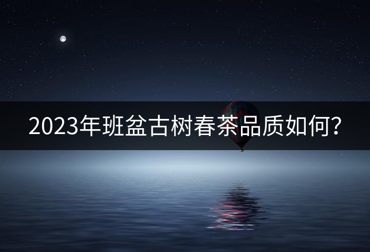2023年班盆古樹春茶品質(zhì)如何？