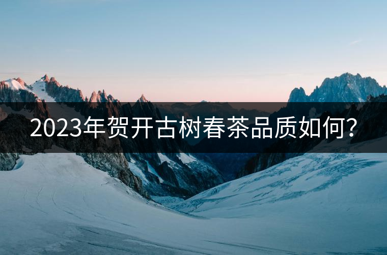 2023年賀開古樹春茶品質(zhì)如何？