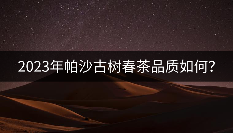 2023年帕沙古樹春茶品質如何？