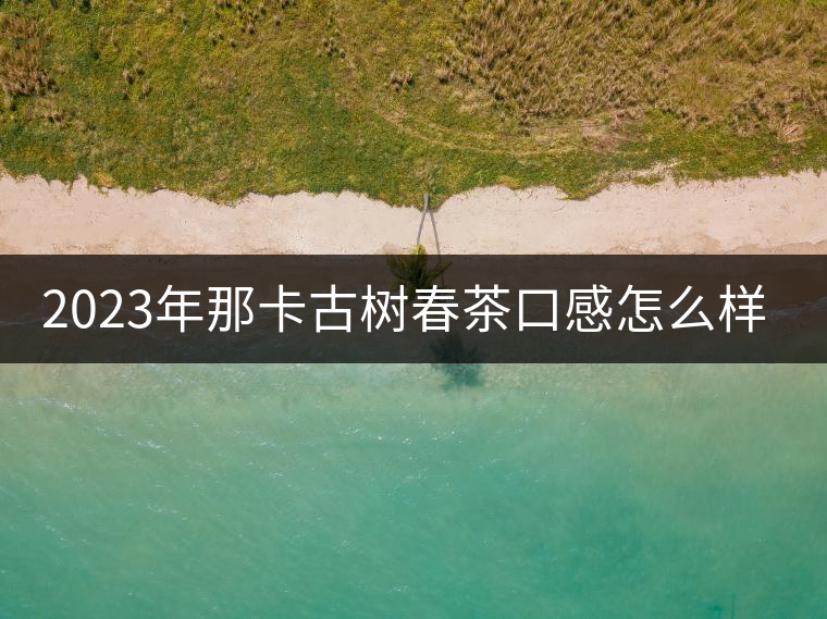 2023年那卡古樹春茶口感怎么樣？