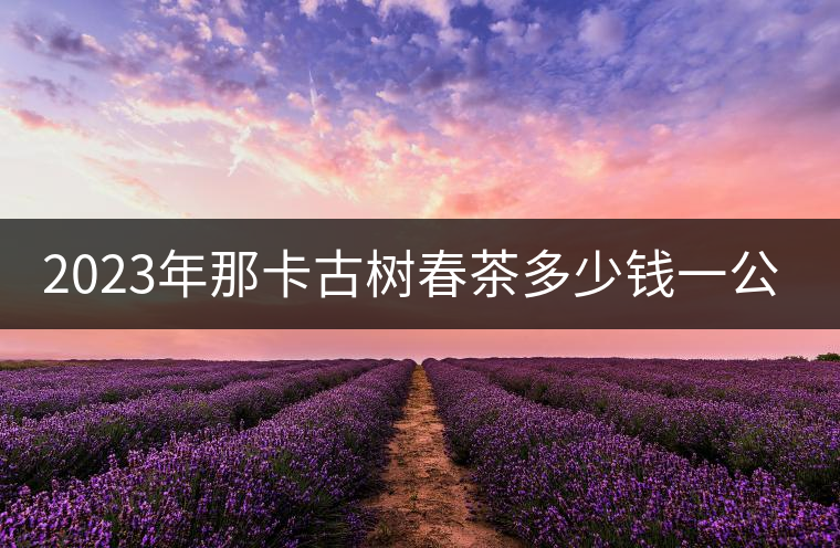 2023年那卡古樹春茶多少錢一公斤？