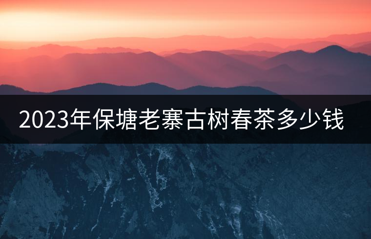 2023年保塘老寨古樹春茶多少錢一公斤？