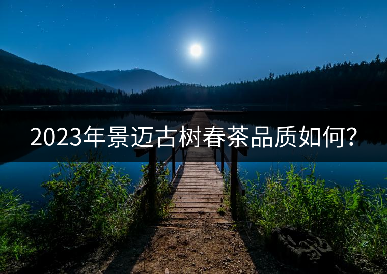 2023年景邁古樹春茶品質(zhì)如何？