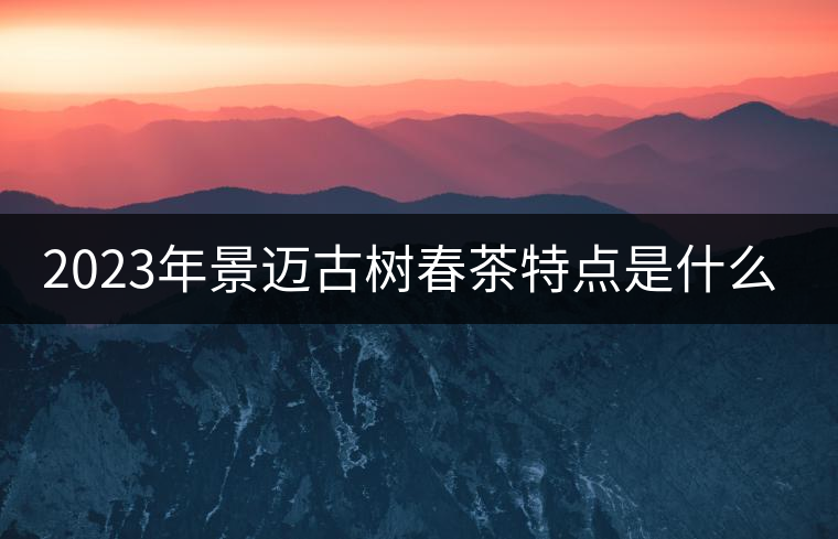 2023年景邁古樹春茶特點(diǎn)是什么？