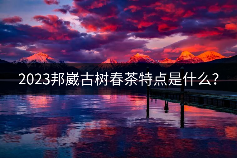 2023邦崴古樹(shù)春茶特點(diǎn)是什么？