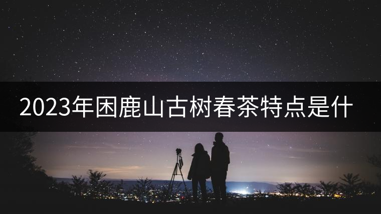 2023年困鹿山古樹春茶特點是什么？