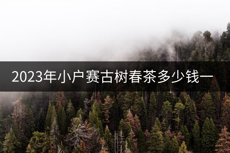 2023年小戶賽古樹春茶多少錢一公斤？