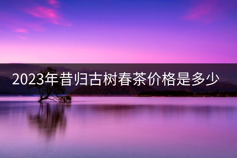 2023年昔歸古樹春茶價格是多少？