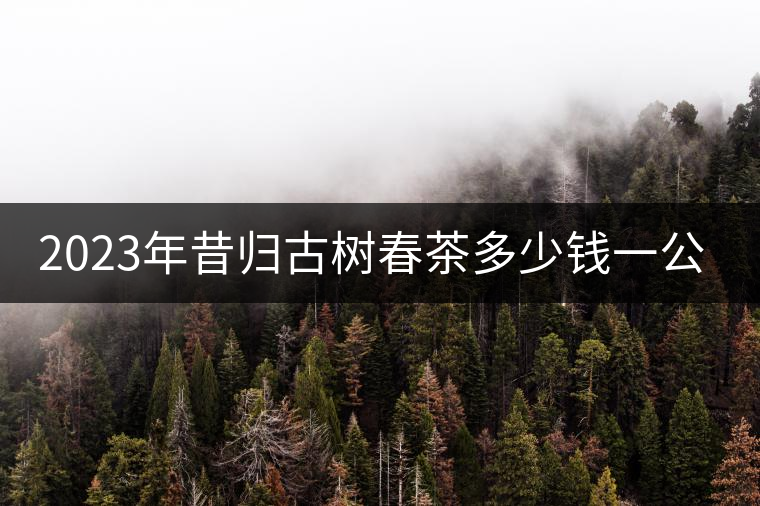 2023年昔歸古樹春茶多少錢一公斤？