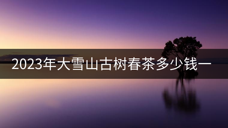 2023年大雪山古樹春茶多少錢一公斤？