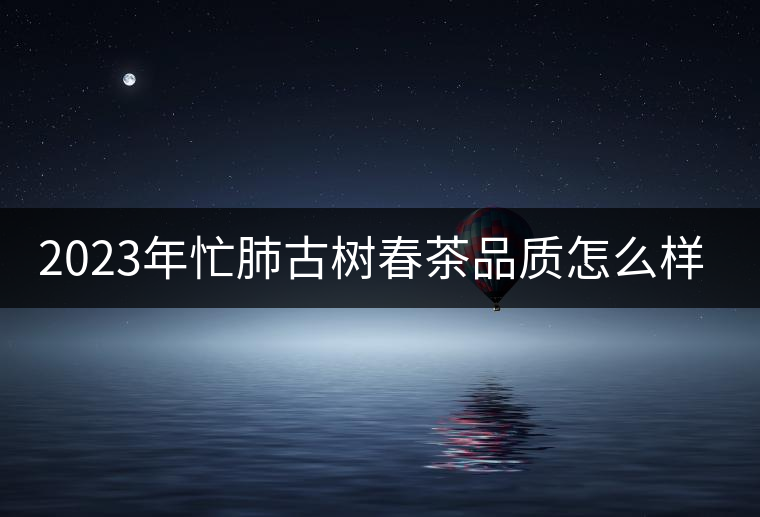2023年忙肺古樹春茶品質怎么樣？