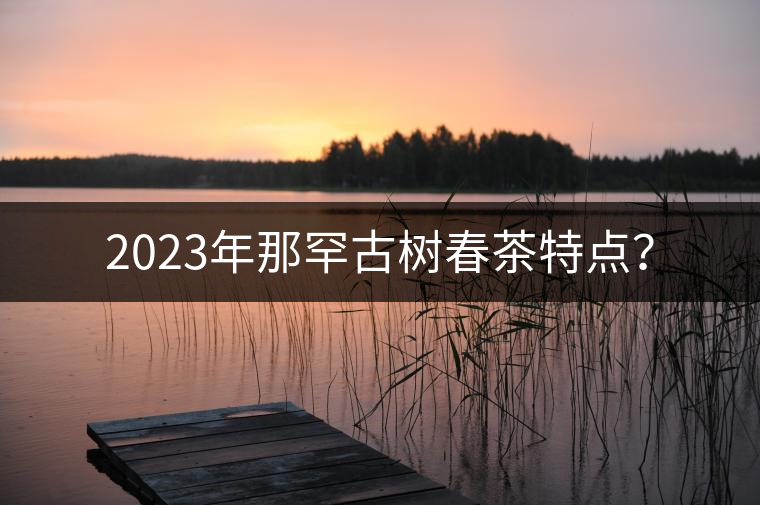 2023年那罕古樹春茶特點？