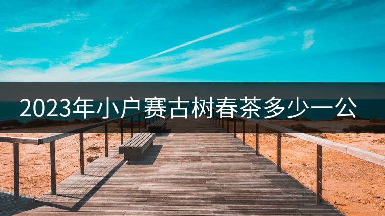 2023年小戶賽古樹(shù)春茶多少一公斤？