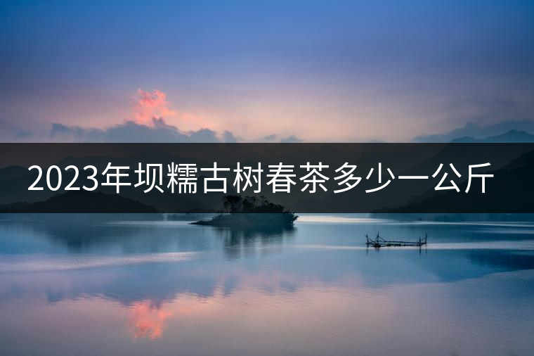 2023年壩糯古樹春茶多少一公斤？