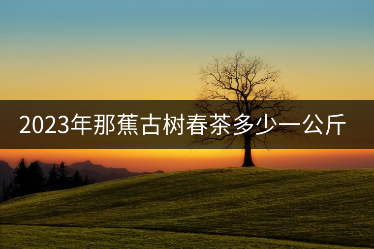 2023年那蕉古樹春茶多少一公斤？