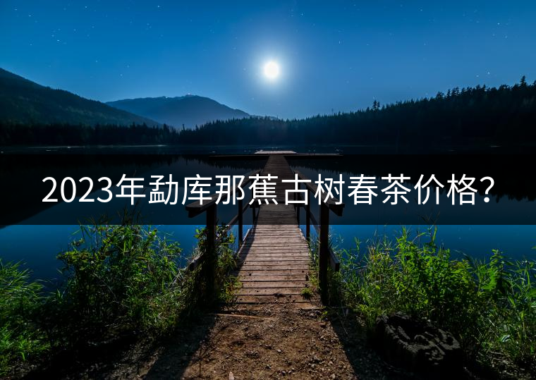 2023年勐庫(kù)那蕉古樹春茶價(jià)格？