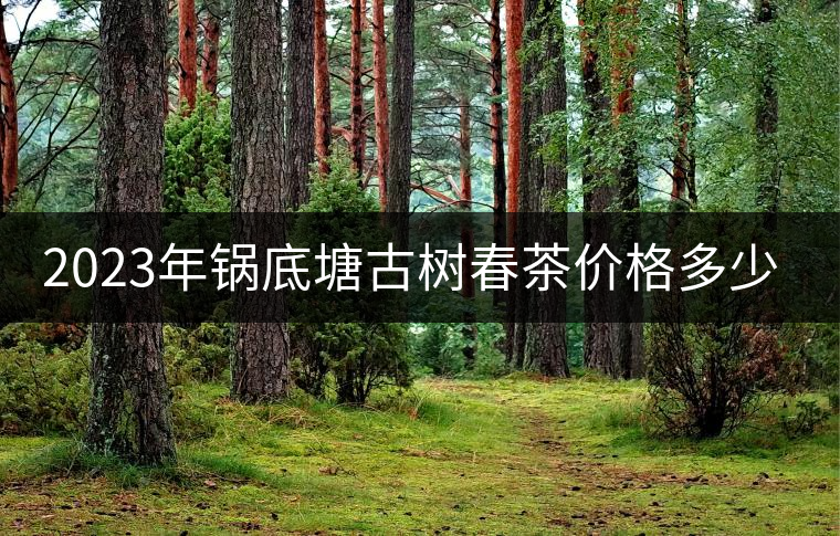 2023年鍋底塘古樹春茶價格多少？