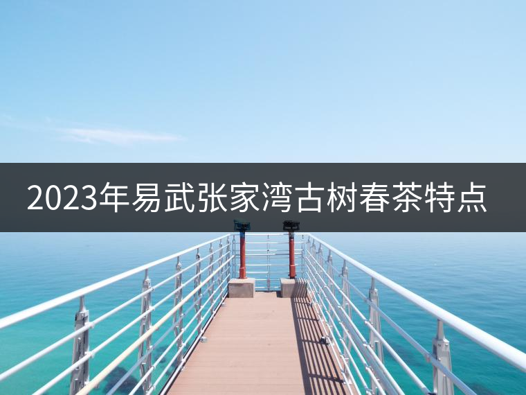 2023年易武張家灣古樹(shù)春茶特點(diǎn)是什么？