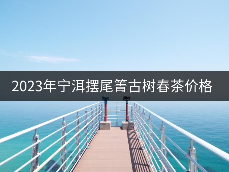2023年寧洱擺尾箐古樹春茶價(jià)格是多少？
