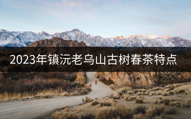 2023年鎮(zhèn)沅老烏山古樹春茶特點(diǎn)是什么？