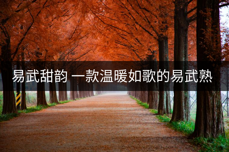 易武甜韻 一款溫暖如歌的易武熟茶