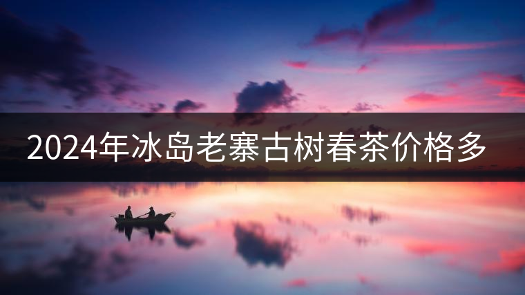 2024年冰島老寨古樹春茶價格多少？
