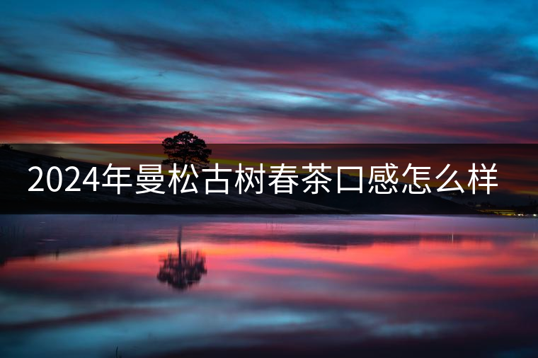 2024年曼松古樹春茶口感怎么樣？