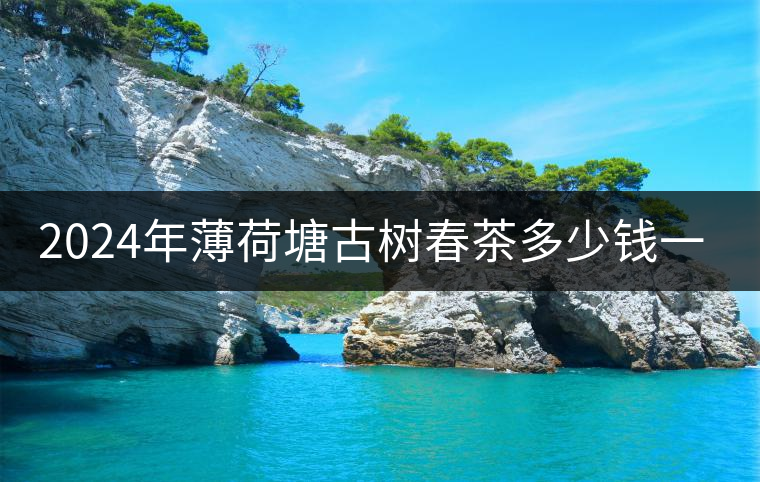 2024年薄荷塘古樹春茶多少錢一公斤? 2024年薄荷塘古樹春茶多少錢一公斤?