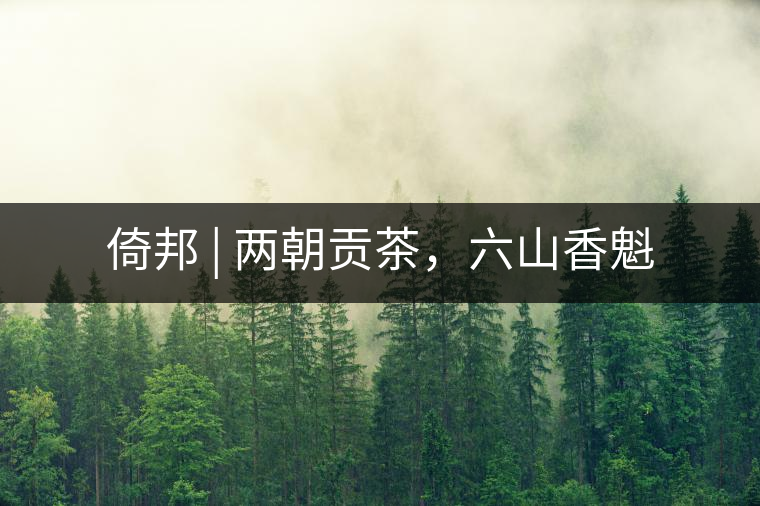 倚邦 | 兩朝貢茶，六山香魁