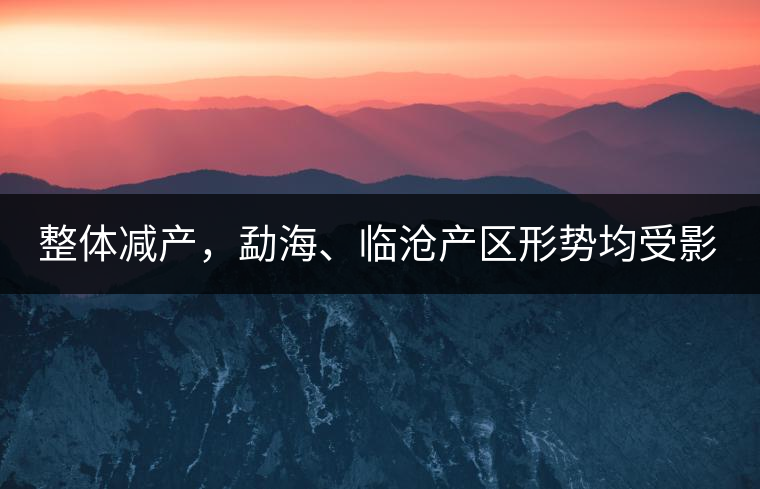 整體減產(chǎn)，勐海、臨滄產(chǎn)區(qū)形勢均受影響