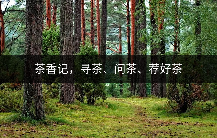 茶香記，尋茶、問茶、薦好茶