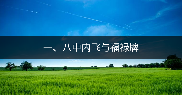 一、八中內(nèi)飛與福祿牌