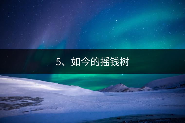 5、如今的搖錢樹